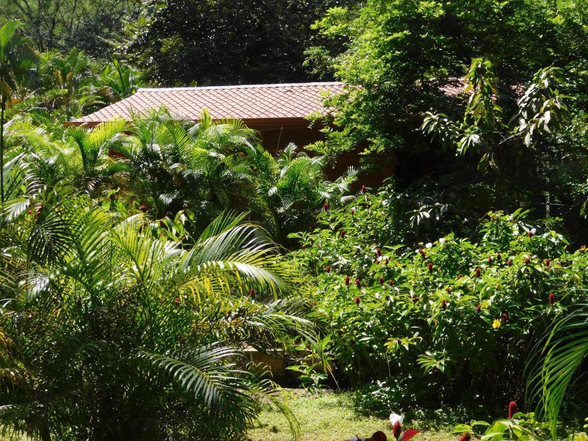 Villasjungle 2 Самара Экстерьер фото