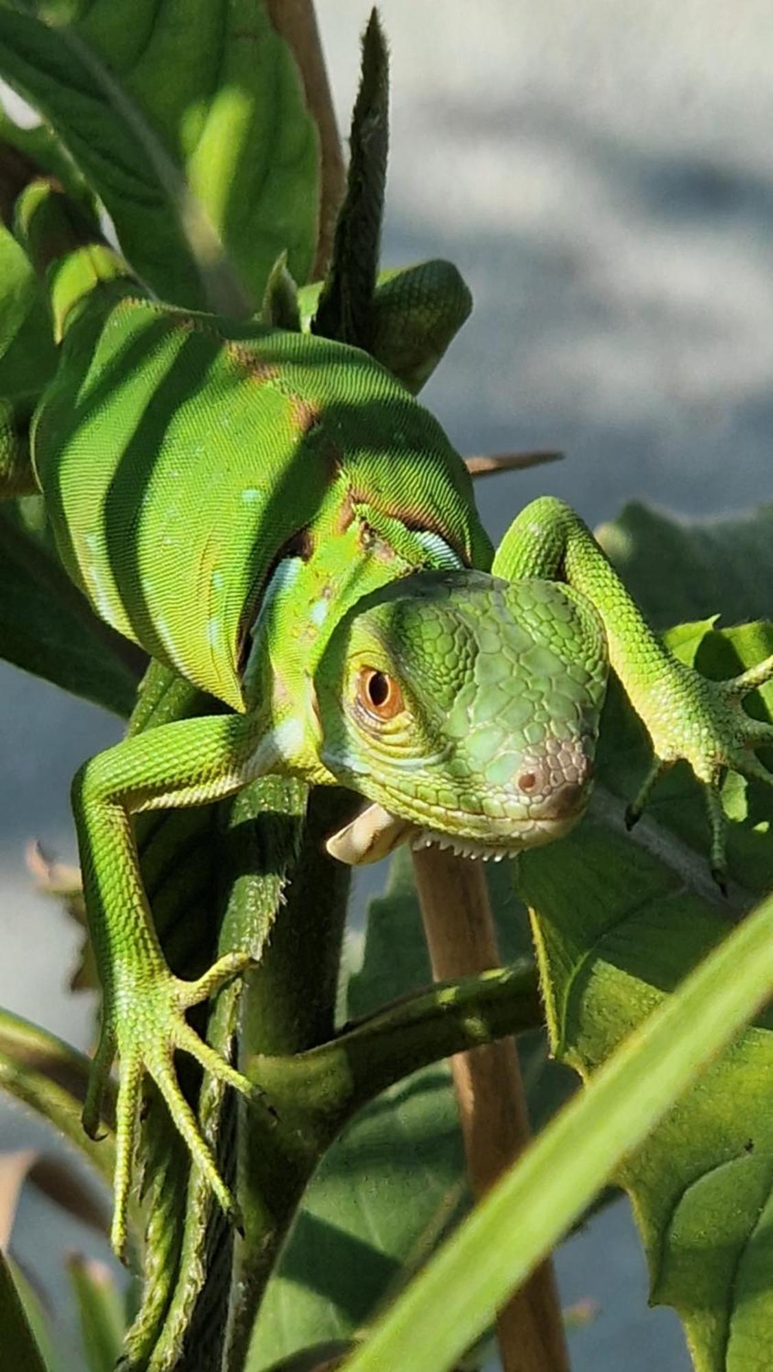 Villasjungle 2 Самара Экстерьер фото